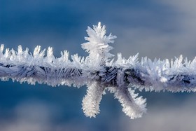 Formation de cristaux de glace