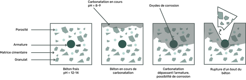 Schématisation de la carbonatation <sup>(4)</sup> Schématisation de la carbonatation